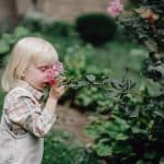 Slik steller du blomster og planter i hagen