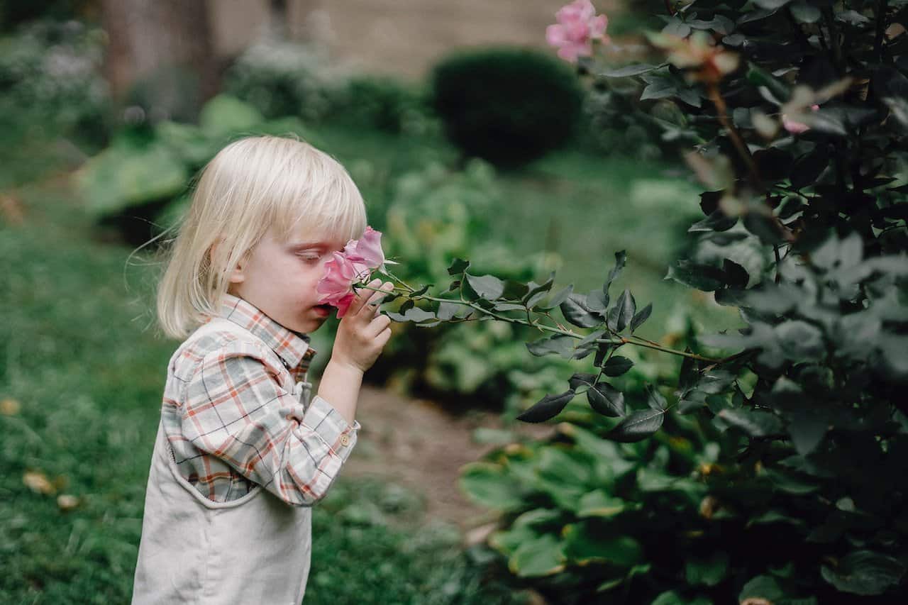 Slik steller du blomster og planter i hagen